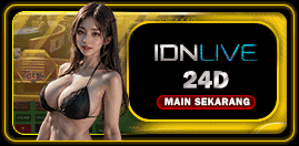 Casino 24D